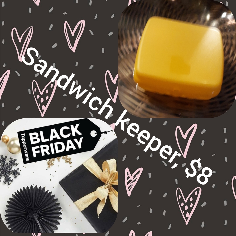 Tupperware sandwich keepers